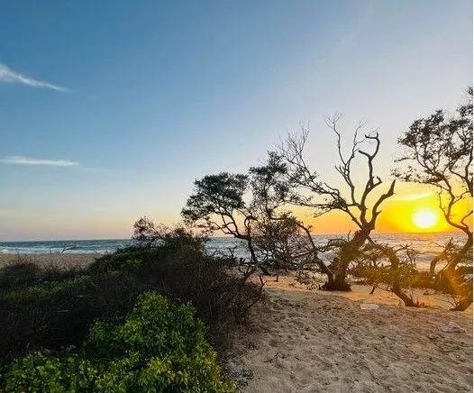 Baththalangunduwa Camping